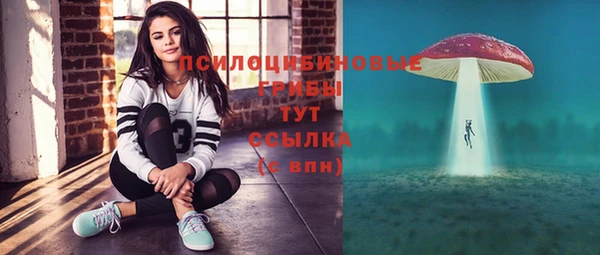 молекула духа Алексеевка